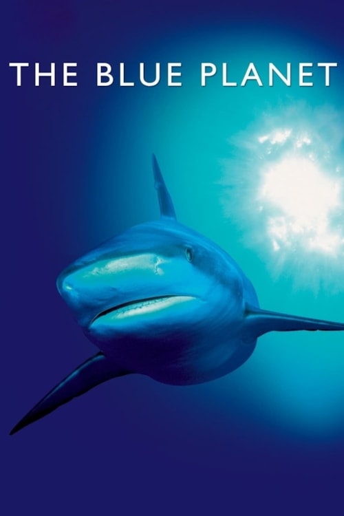 Den Blå Planet poster
